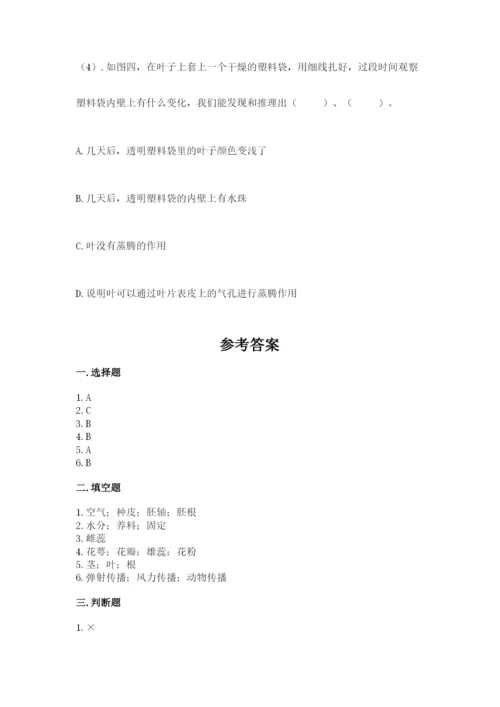 科学四年级下册第一单元植物的生长变化测试卷及答案（典优）.docx