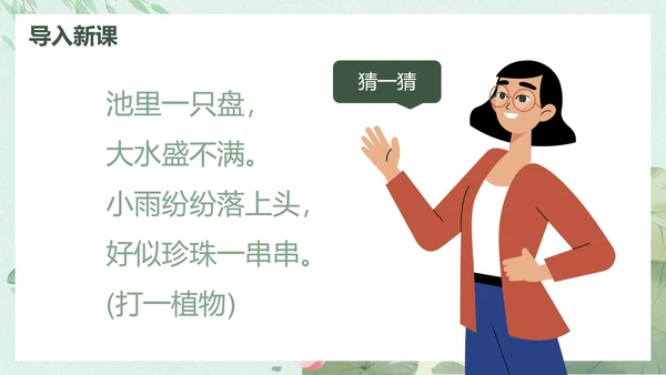 部编版一年级下册《荷叶圆圆》