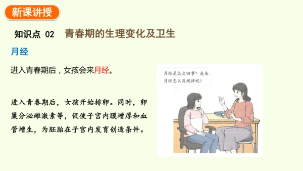 4.1.2 青春期-七年级生物下学期同步精品课件（2024人教版）(共27张PPT)