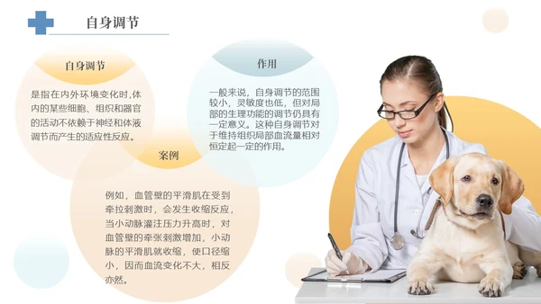 实拍风宠物解剖生理宠物解剖生理讲座PPT