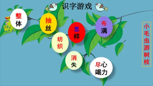 22小毛虫  课件