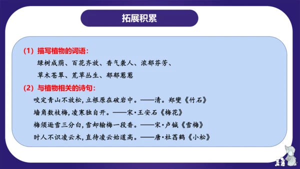 统编版四年级语文下学期期中核心考点集训第三单元（复习课件）