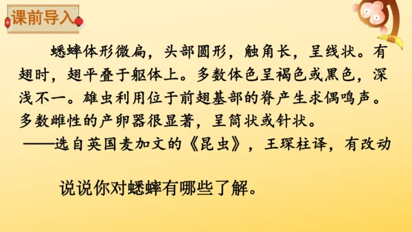 11 蟋蟀的住宅  课件