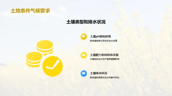 智慧农业：油料种植新篇章