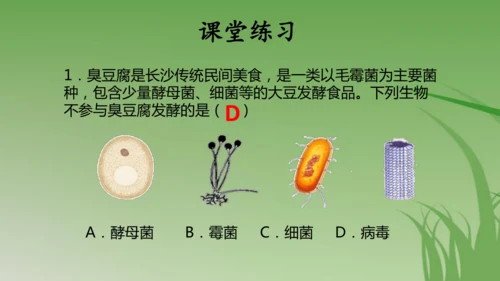 人教版生物七年级上册3.3《真菌》（课件）(共25张PPT)