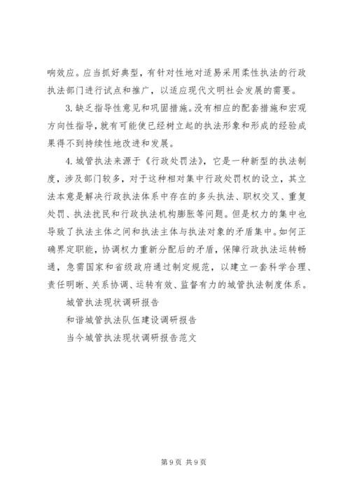 城管执法局执法工作调研报告.docx