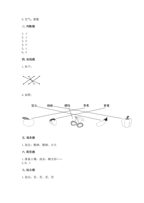 教科版科学一年级上册第一单元《植物》测试卷附参考答案【精练】.docx