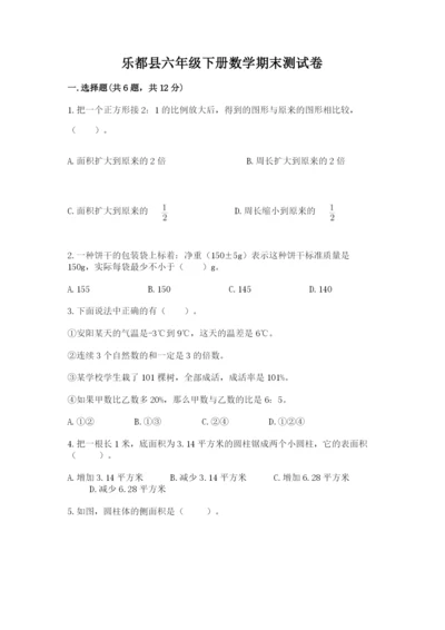 乐都县六年级下册数学期末测试卷a4版.docx