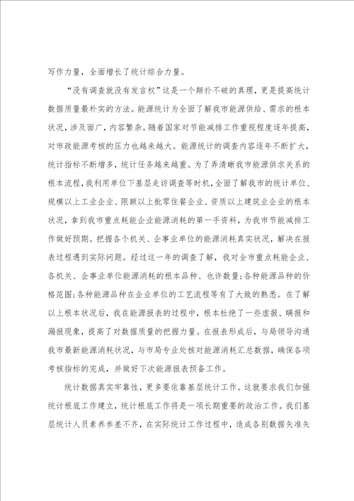 关于统计年终总结汇总5篇