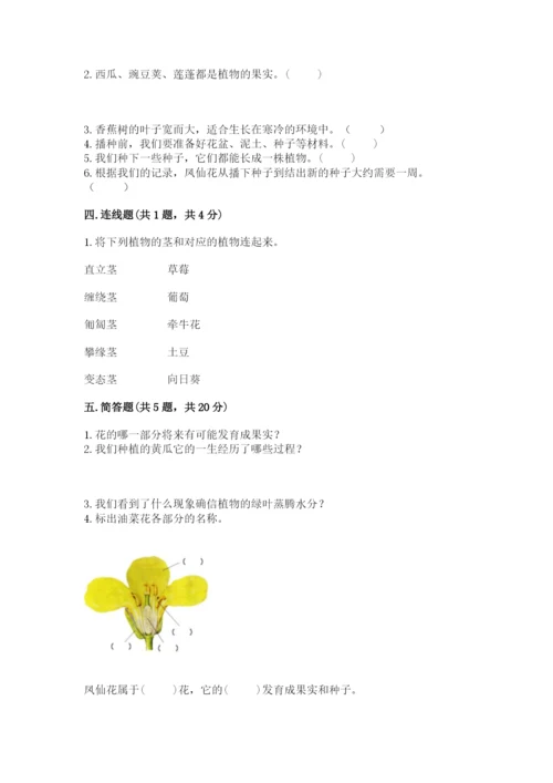 科学四年级下册第一单元植物的生长变化测试卷（精品）.docx