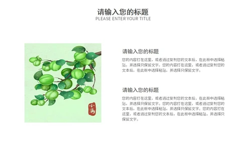绿色清新小满节气宣传PPT模板