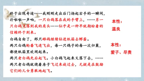 七年级语文上册第五单元  人与动物（大单元教学） 课件(51张PPT)