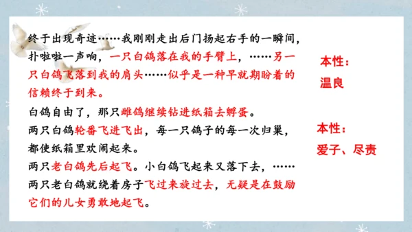 七年级语文上册第五单元  人与动物（大单元教学） 课件(51张PPT)