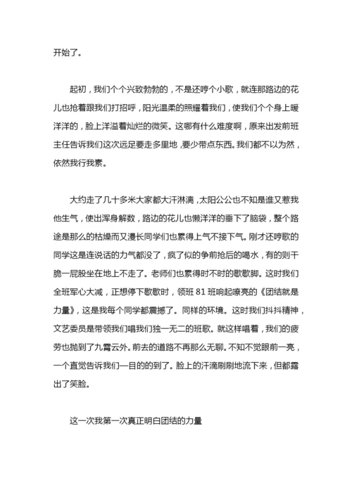 个人实习总结300字.docx