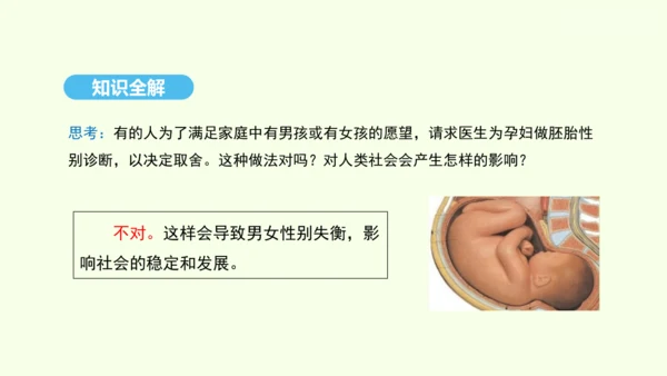 7.2.4人的性别遗传课件-人教版生物八年级下册(共31张PPT)