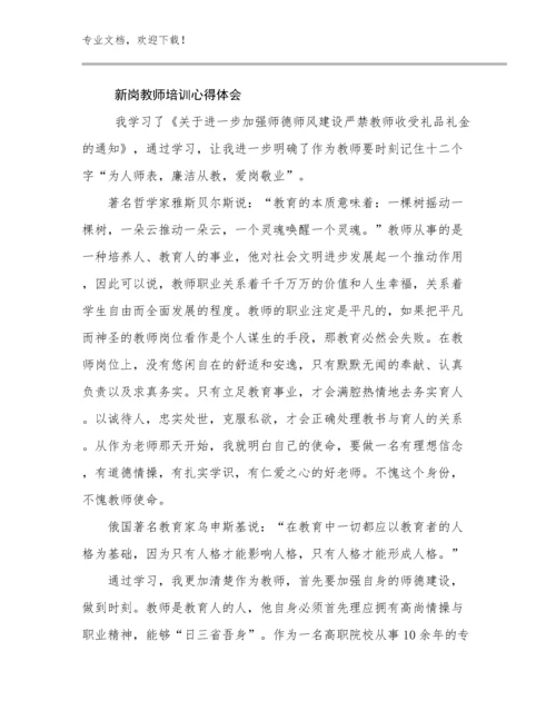 2024年新岗教师培训心得体会例文20篇.docx