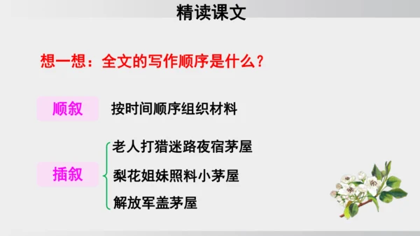 15 驿路梨花 课件