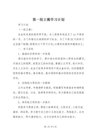 第一组王薇学习计划.docx