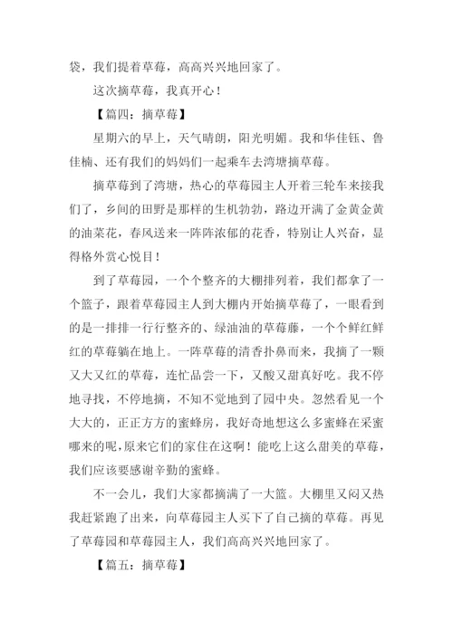 摘草莓的作文300字.docx