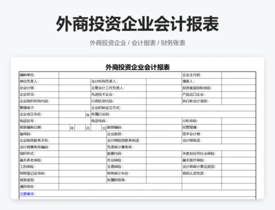 外商投资企业会计报表