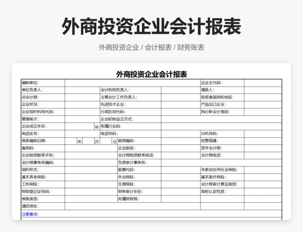 外商投资企业会计报表