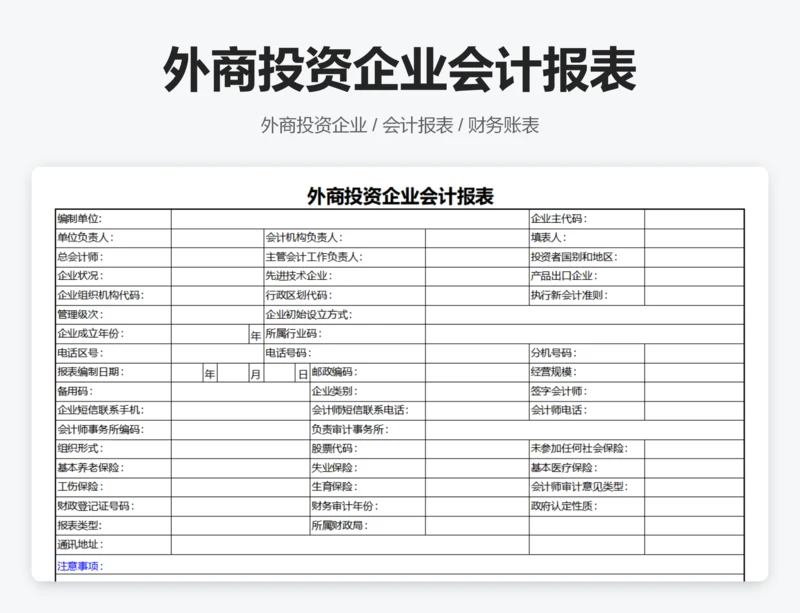 外商投资企业会计报表