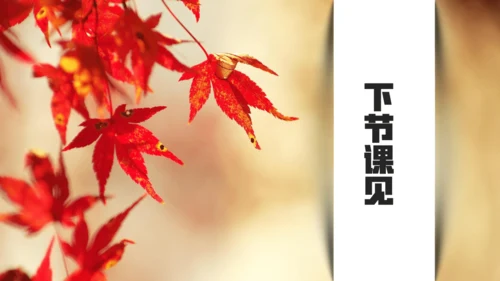 七年级语文上册第六单元课外古诗词 秋词（其一）课件(共19张PPT)