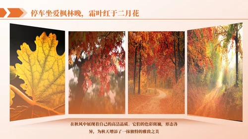 橙色商务图文排版PPT版式合集
