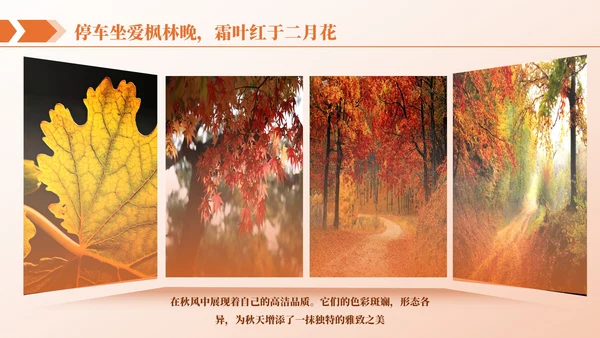 橙色商务图文排版PPT版式合集