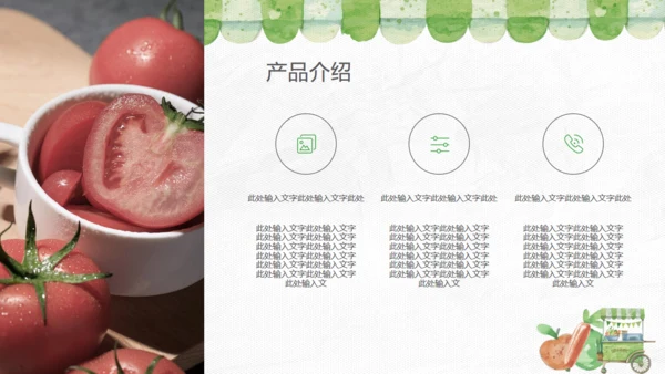 绿色食品健康新选择产品介绍通用PPT模板