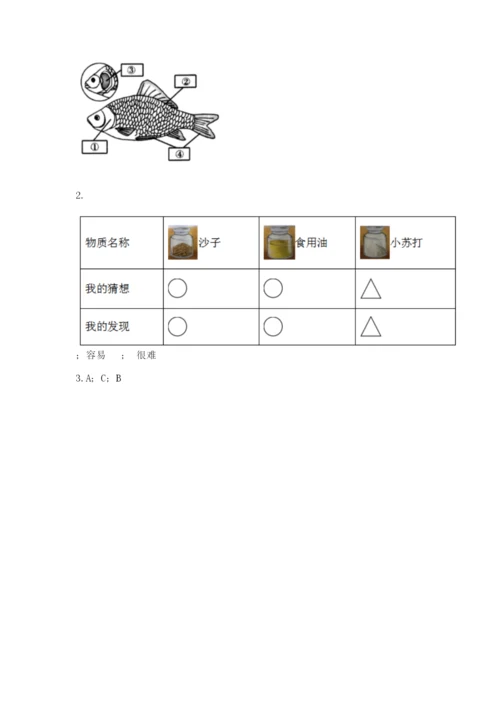 教科版一年级下册科学期末测试卷及完整答案.docx