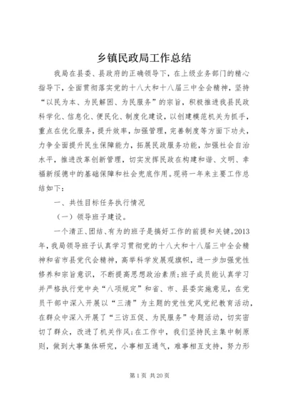 乡镇民政局工作总结.docx