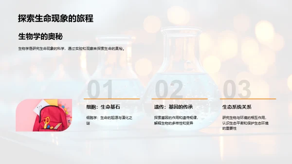 科学实验探索之旅