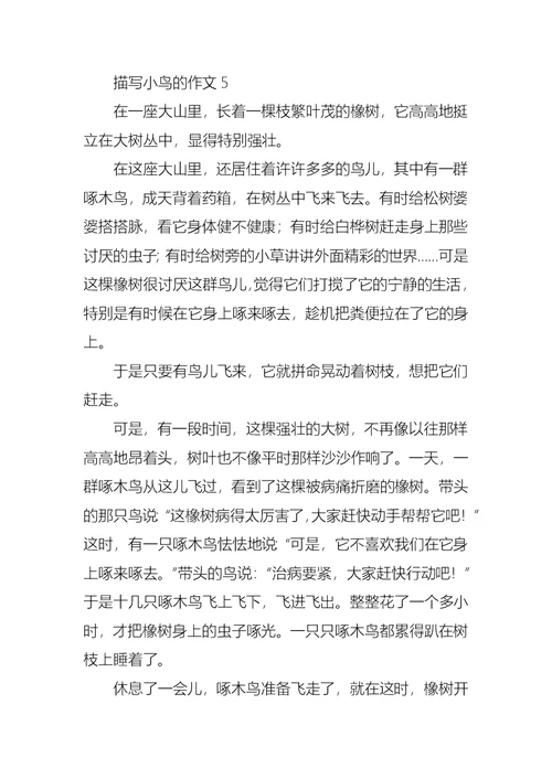 描写小鸟的作文