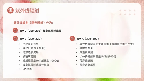 粉色简约美容知识培训大全PPT模板宣传PPT动态PPT