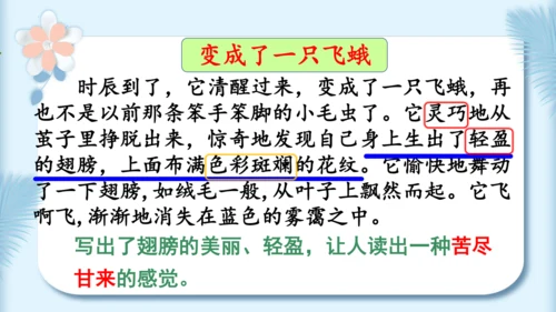 22.小毛虫（第二课时）教学课件