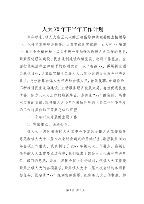 人大某年下半年工作计划.docx