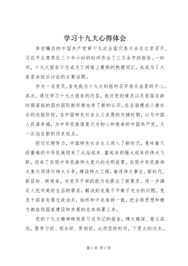 学习十九大心得体会 (22).docx