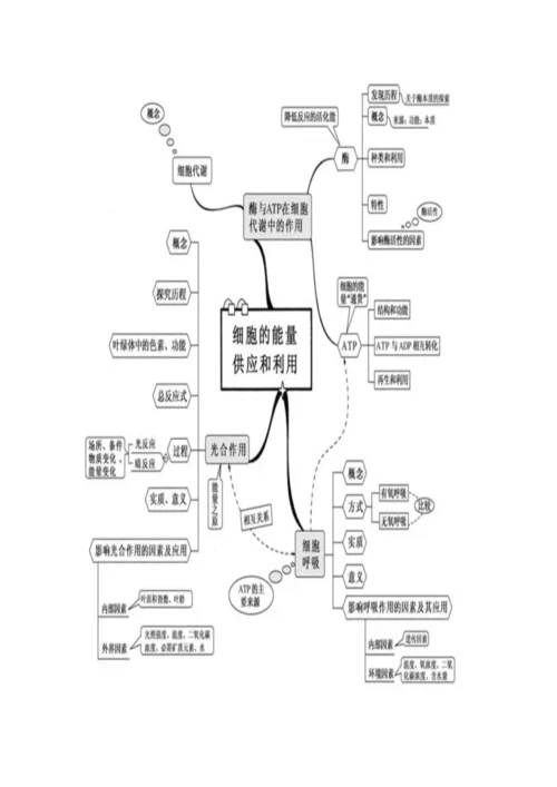 高中生物思维导图.docx