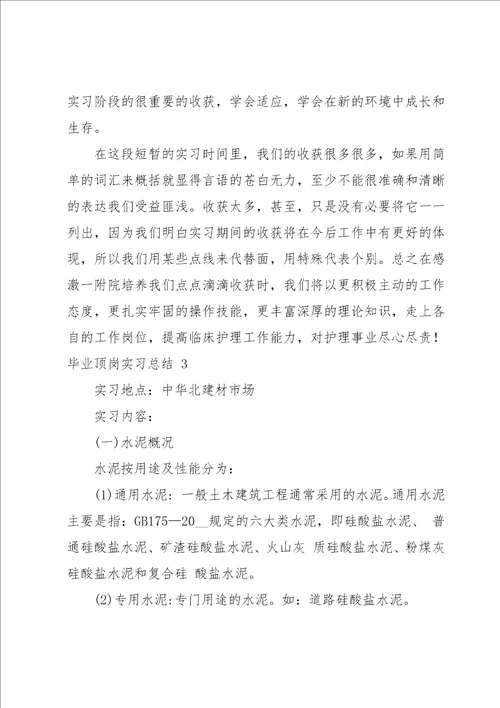毕业顶岗实习总结15篇