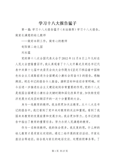 学习十八大报告猛子.docx