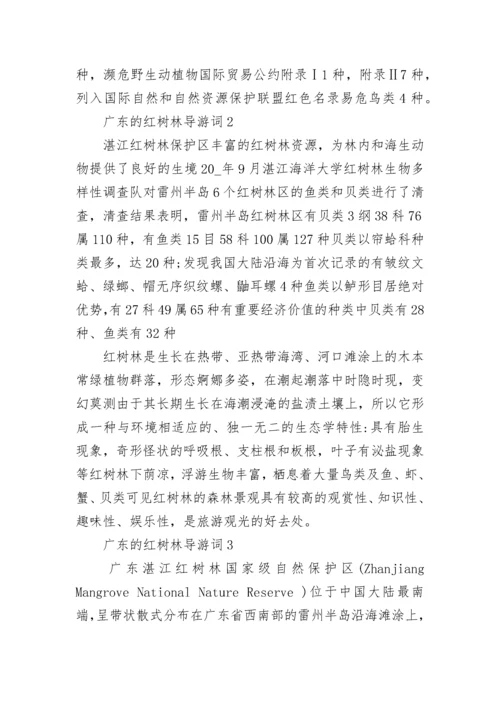 广东的红树林导游词.docx