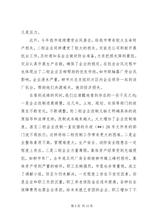 二轻年度总结及计划.docx