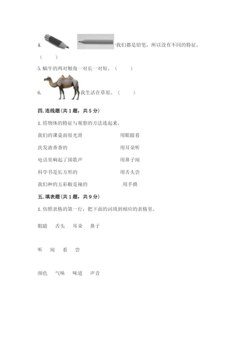 教科版一年级下册科学期末测试卷【考点精练】.docx