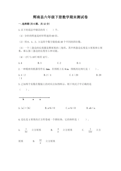 辉南县六年级下册数学期末测试卷a4版.docx
