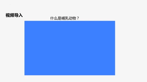 人教版生物七年级上册2.2.2《脊椎动物（三）鸟和哺乳动物》教学课件(共32张PPT)+视频素材