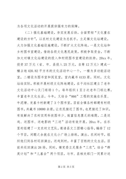 乡镇文化工作总结汇报.docx