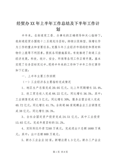 经贸办XX年上半年工作总结及下半年工作计划.docx