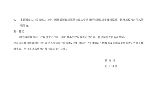 古城镇市场调查分析报告.docx