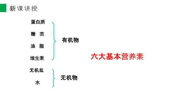 营养学营养物质研究初高中生物PPT课件